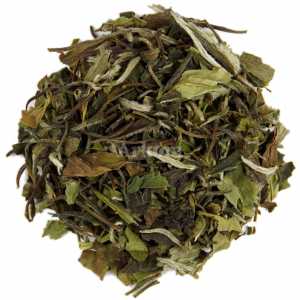 Fujian Peony